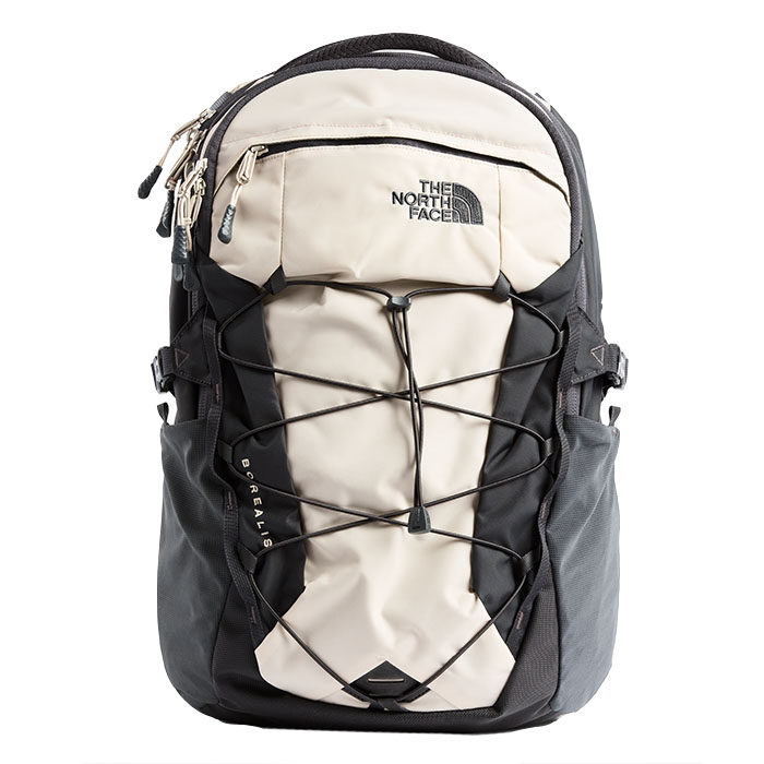 the north face back bag