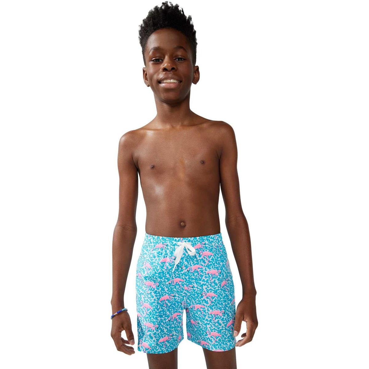 Chubbies Boys The Domingos Are For Flamingos Classic Lined Swim Trunks 