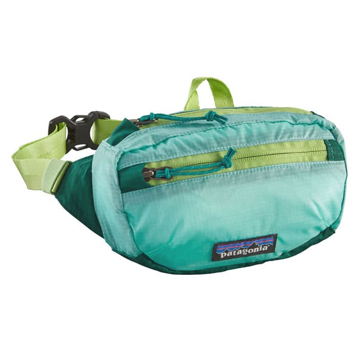 Patagonia Lightweight Travel Mini Hip Pack Sun & Ski Sports