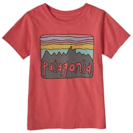 Patagonia Toddler Girls' Regenerative Organic Certified™ Cotton Fitz Roy T Shirt