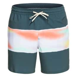 Quiksilver Men's Surfsilk Air-Brush Volley 17" Boardshorts