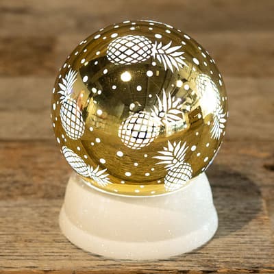 Acrylic Pineapple Glitter Globe