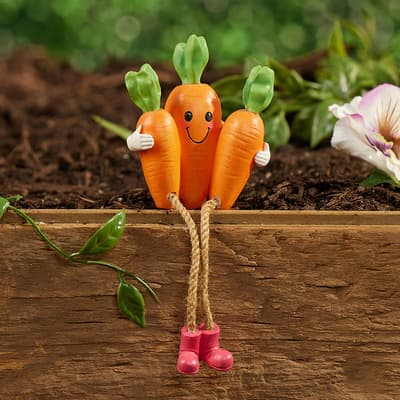 Carrot Sitter