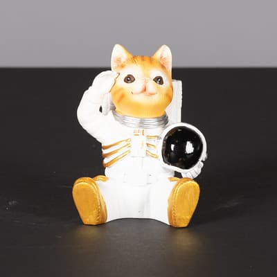 Cat Astronaut Sitter