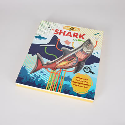 Uncover A Shark Book