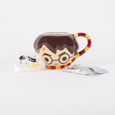 Harry Potter Sculpt Mug with Cocoa