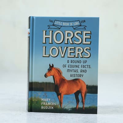 Little Book Of Lore For Horse Lovers