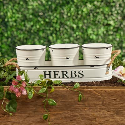 Herbs Planter Pots