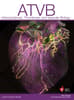 Arteriosclerosis, Thrombosis, and Vascular Biology Online