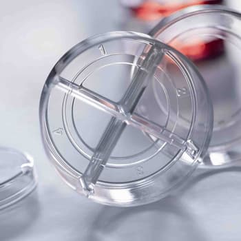 CELLview Cell Culture Dish, Four Compartments, Closeup