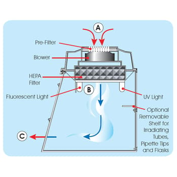 Airflow Diagram for PCR Workstation with HEPA Filtration