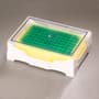 ArcticIce PCR Tube Rack, Green-Yellow