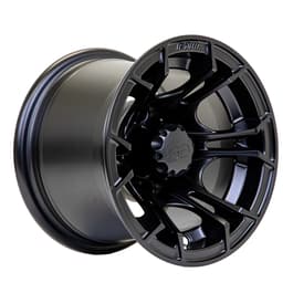GTW Spyder Matte Black 10 Inch Wheel