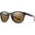 Color Option: Matte Tortoise/Polarized Brown