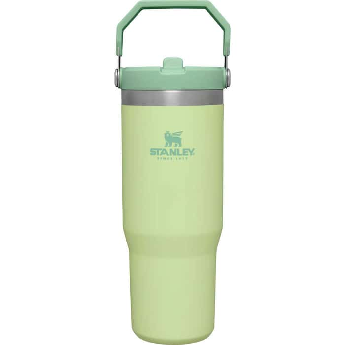 Stanley Double-Wall Vacuum Insulated - Jade - ICEFLOW FLIP STRAW TUMBLER  30OZ