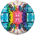 Waboba Wingman Pro Disc alt image view 2