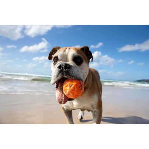 Waboba Tailwind Dog Ball alt image view 2