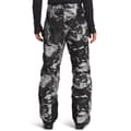 The North Face Men's Freedom Insulated Pants alt image view 5