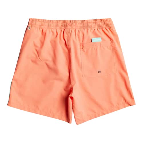 Quiksilver Men's Everyday Vert Volley 16" Boardshorts alt image view 4