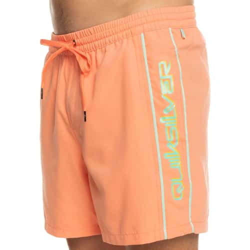 Quiksilver Men's Everyday Vert Volley 16" Boardshorts alt image view 3
