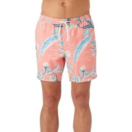 O'Neill Men's Hermosa E Waist Lined Volley 17" Boardshorts