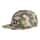 Color Option: Felidae
