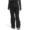 The North Face Women's Freedom Insulated Pants alt image view 11