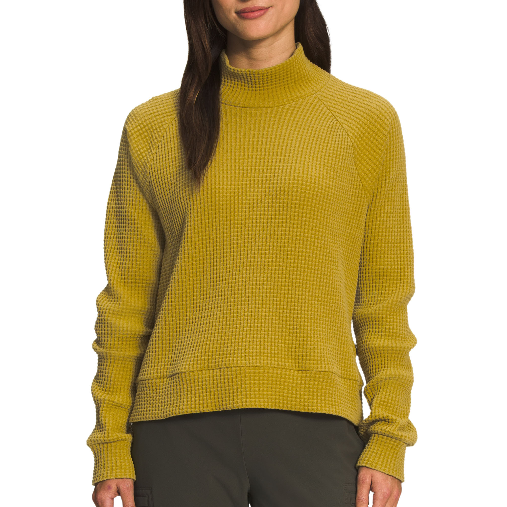 The North Face Women's Mock Neck Chabot Long Sleeve Top -  00197064945160