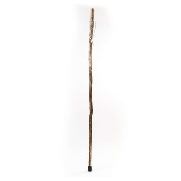Walking Stick