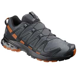 Salomon Men's XA Pro 3D v8 GTX Trail Running Shoes