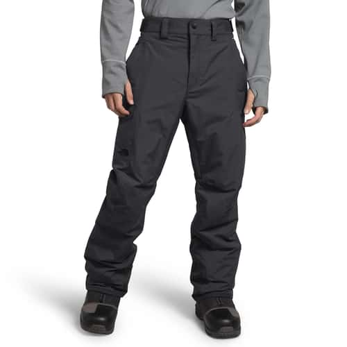 Mens north face freedom ski pants hotsell