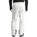 Spyder Men's Hone GORE-TEX® Shell Snow Pants alt image view 34