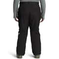 The North Face Women's Plus Freedom Insulated Pants alt image view 2