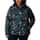 Color Option: Spruce Solarized Print