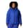 Color Option: Clematis Blue