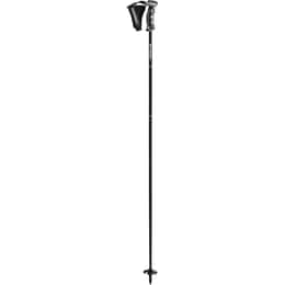 Gabel C Force Ski Poles