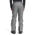 The North Face Men's Freedom Insulated Pants alt image view 2