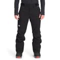 The North Face Men's Freedom Insulated Pants alt image view 0