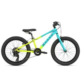 Haro Boy's Flightline 20" Plus Bike