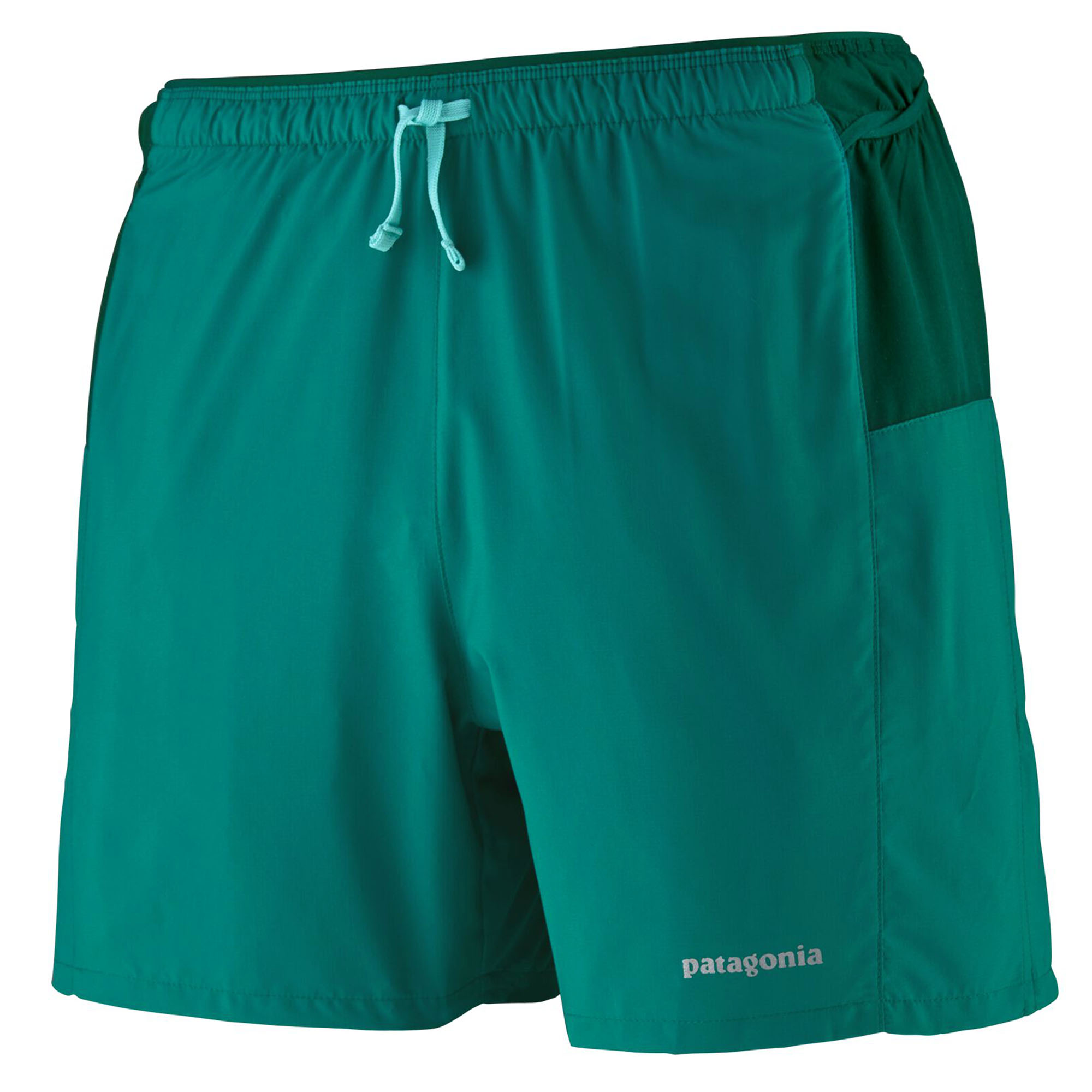 Patagonia Men's Baggies™ 5