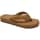 Color Option: Chestnut