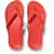 Color Option: Coral