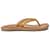 Color Option: Golden Harvest/Golden Sand