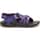 Color Option: Paddle Grape