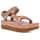 Color Option: Maple Sugar/Lion