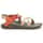 Color Option: Rising Burnt Ochre
