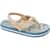 Color Option: Blue/Tan Palm