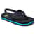 Color Option: Sharkade