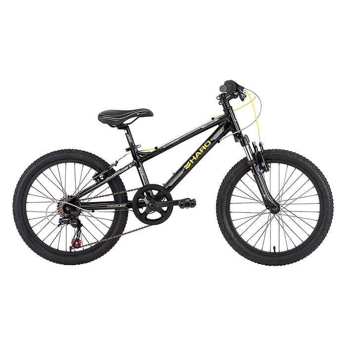 Haro Children's Flightline 20 Hardtail Mountain Bike '13 Sun & Ski Sports