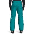 The North Face Men's Freedom Insulated Pants alt image view 4